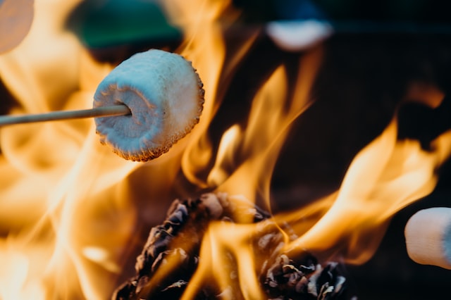 What Else Can You Use A Pizza Oven For?